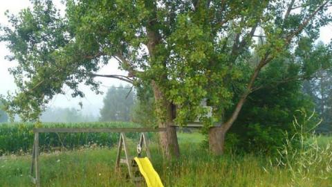 Get Wrecked - P1160107.jpg