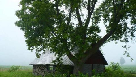 No Entry - Elmvale-Stone-House21.jpg