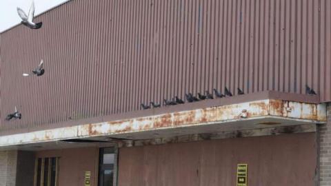 July 21st, 2014 - Old-Plaza10.jpg