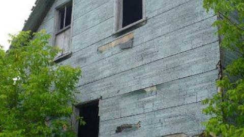 Tiny Grey - Tiny, Ontario