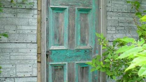 Grey - Tiny-Grey4.jpg