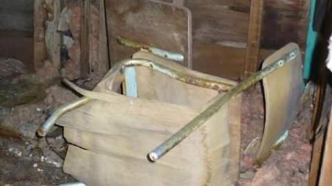 Grey - Tiny-Grey5.jpg