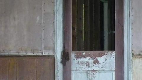 Grey - Tiny-Grey20.jpg