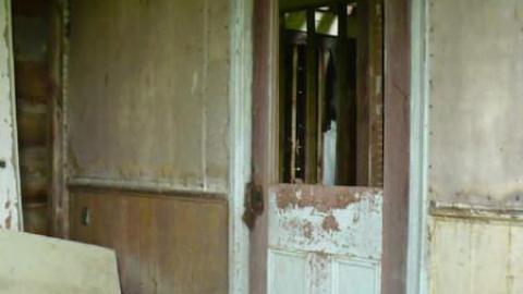 Grey - Tiny-Grey8.jpg