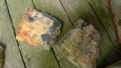 Grey - Tiny-Grey21.jpg