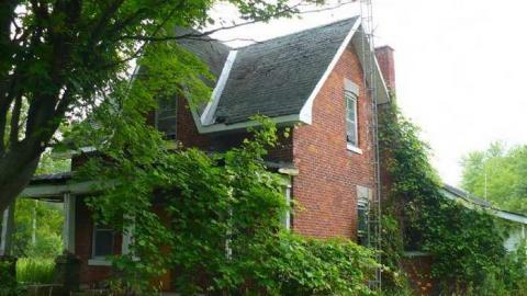 Tiger Lily - Bless-This-House18.jpg