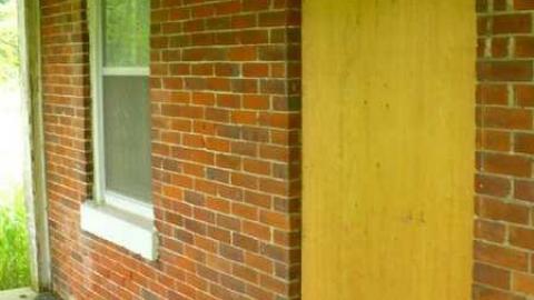 Tiger Lily - Bless-This-House19.jpg