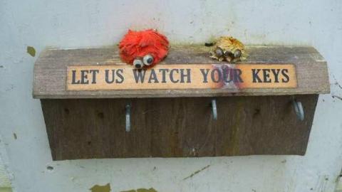 Tiger Lily - Bless-This-House50.jpg