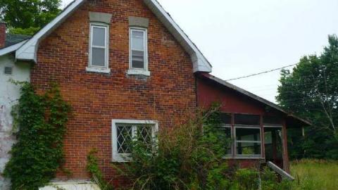 Tiger Lily - Bless-This-House20.jpg