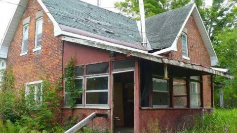 Tiger Lily - Bless-This-House14.jpg