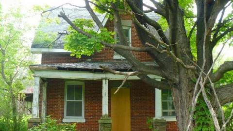 Tiger Lily - Bless-This-House53.jpg