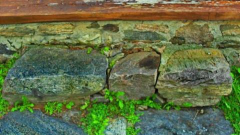 D's Mtghse on Snyder's Farm - Detweilers-Meetinghouse-185522.jpg