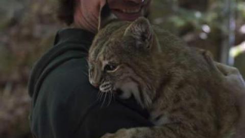 Then and Now - Muskoka-Wildlife-Centre4.jpg