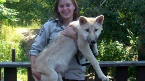 Then and Now - Muskoka-Wildlife-Centre5.jpg