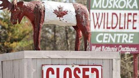 Then and Now - Muskoka-Wildlife-Centre7.jpg