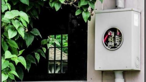 Then and Now - Muskoka-Wildlife-Centre9.jpg