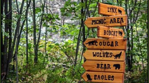 Then and Now - Muskoka-Wildlife-Centre15.jpg