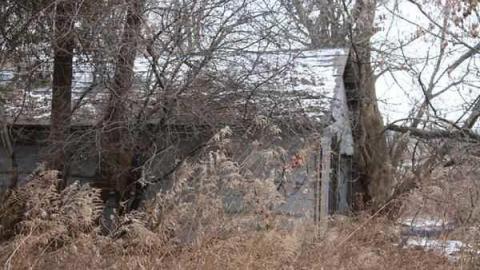 Frankly, I've been forgotten - Religious-Pugilists14.jpg