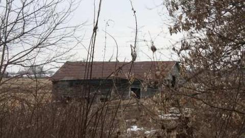 Frankly, I've been forgotten - Religious-Pugilists17.jpg