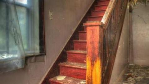 July 2014 - House-off-40194.jpg