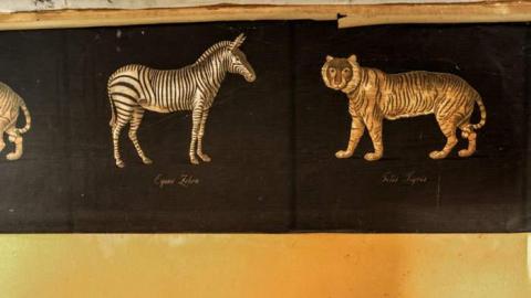 House off 401 - Port Hope, Ontario