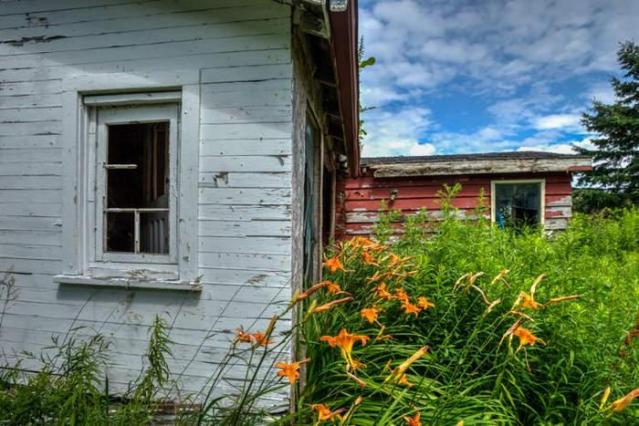 House off 401 photo 5