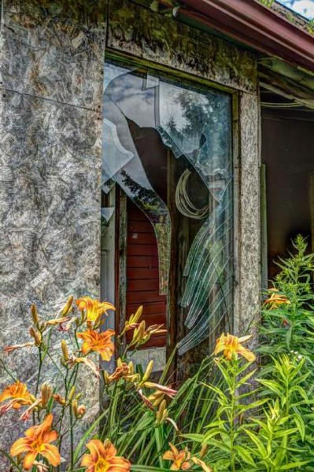 House off 401 photo 4