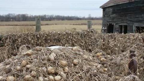 Frankly, I've been forgotten - Religious-Pugilists21.jpg