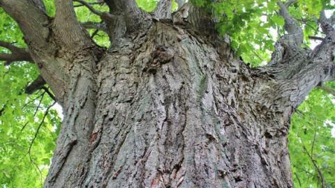 Recycle Reuse - S.S.-No.-22-Roseville19.jpg