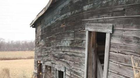 Frankly, I've been forgotten - Religious-Pugilists23.jpg