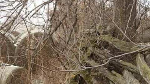 Photo from Frankly, I've been forgotten