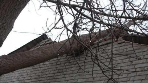 Frankly, I've been forgotten - Religious-Pugilists27.jpg