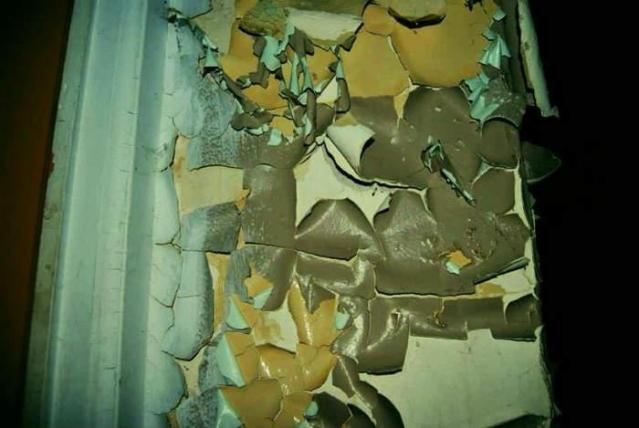 Diamond in the Rough 2014 - 10395808_10154444290430228_4718920124692308087_n.jpg