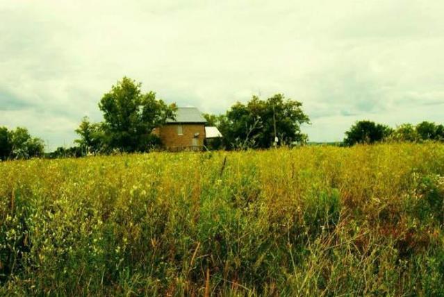 Diamond in the Rough 2014 - 10525766_10154444289795228_8301302225701474539_n.jpg