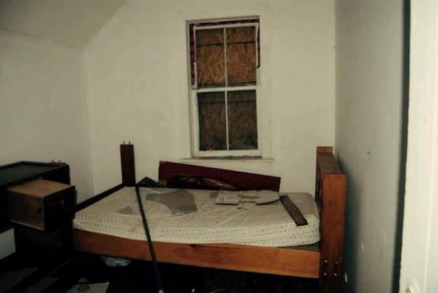 Diamond in the Rough - Kawartha Lakes, Ontario