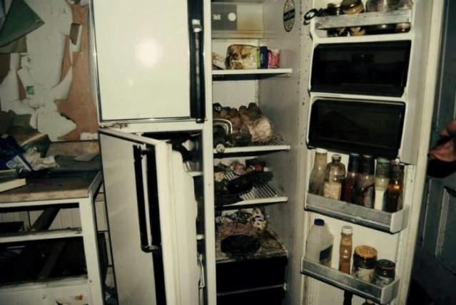 Diamond in the Rough photo 4