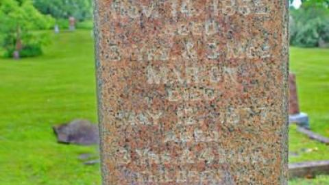 Ballinafad Pioneer Cemetery photo 4
