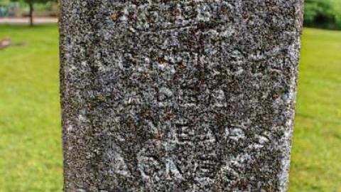 Irish Settlers - Ballinafad-Pioneer-Cemetery60.jpg