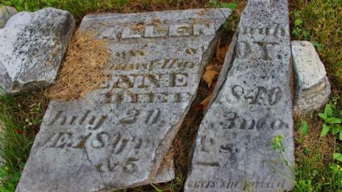 Irish Settlers - Ballinafad-Pioneer-Cemetery34.jpg