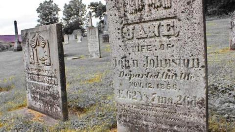 Irish Settlers - Ballinafad-Pioneer-Cemetery1.jpg