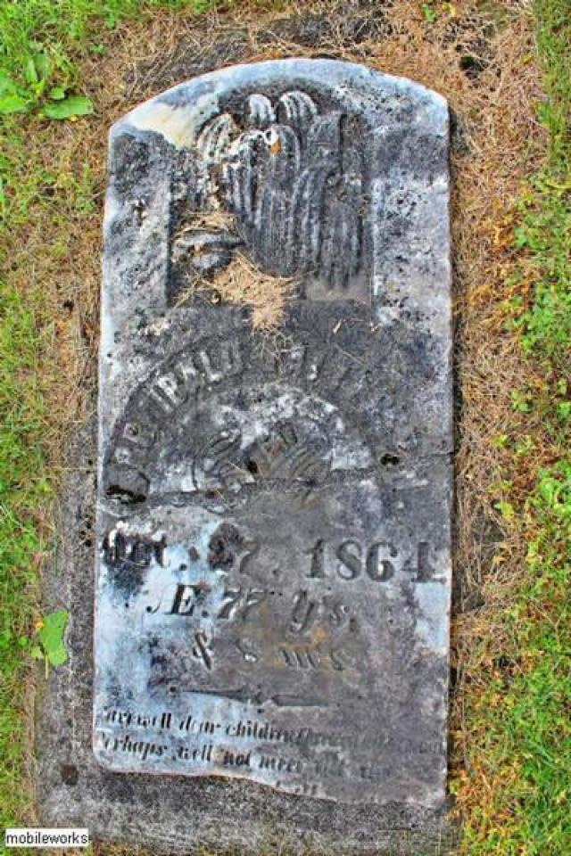 Ballinafad Pioneer Cemetery photo 3