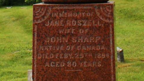 Irish Settlers - Ballinafad-Pioneer-Cemetery47.jpg