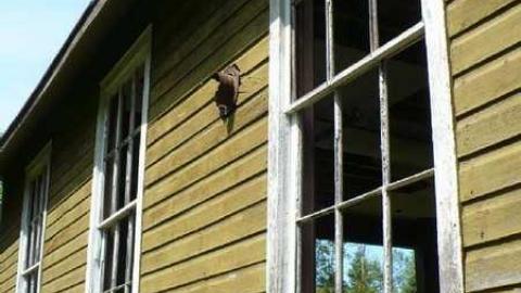 Gelert - Gelert-(ghost-town)58.jpg