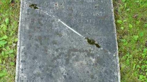 Photo from Galway Cavendish