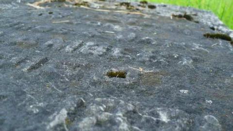 Photo from Galway Cavendish