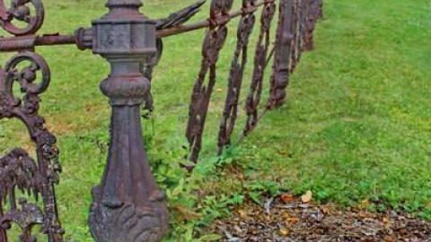 Agness's Cemetery - Limehouse-Presbyterian-Cemetery12.jpg