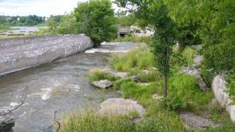 Spillway in 2010 - Casselman-Spillway24.jpg