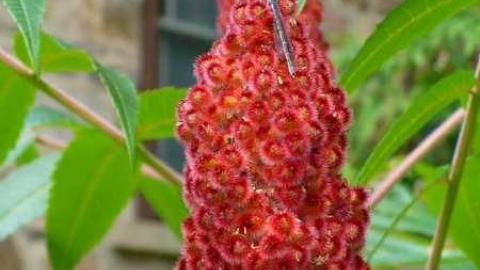 Church on Time - Miners-Bay-Church15.jpg