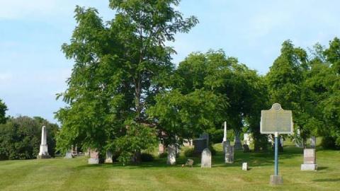 Erin Pioneers - Ballinafad-Pioneer-Cemetery67.jpg