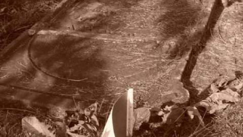 Erin Pioneers - Ballinafad-Pioneer-Cemetery68.jpg